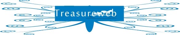 TREASUREWEB