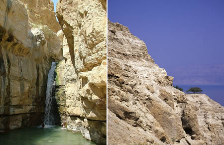 Ein Gedi Israel