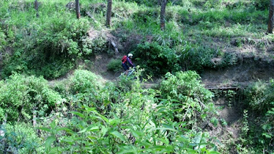 Memasuki hutan pinus, banyak jurang di sebelah jalur kami.