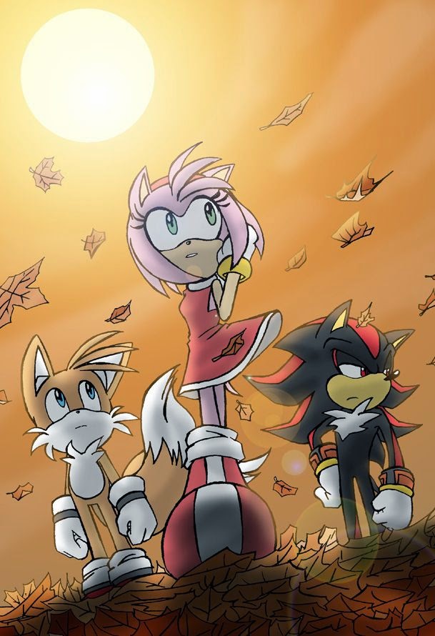 Tails, Shadow, and Amy in fall