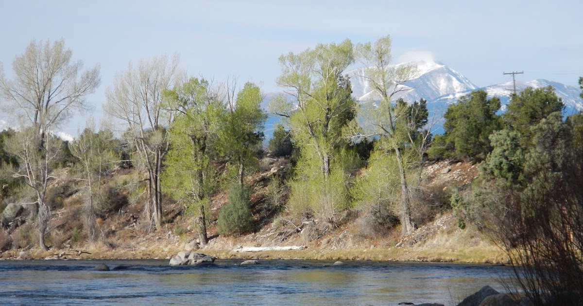 Fish Spotter: Upstream Float Fish Spotter: Upstream Float