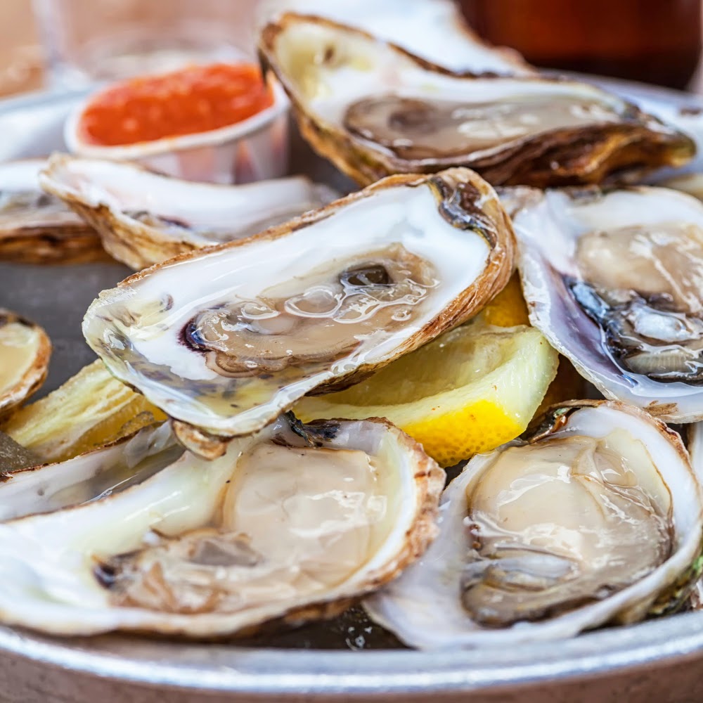 Tucker's Shuckers 8 FAQs About Oysters Answered