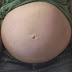 Vídeo da Semana: 37 Semanas na barriga da mãe