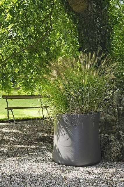 According to BRASWELL: Fabulous Gardens