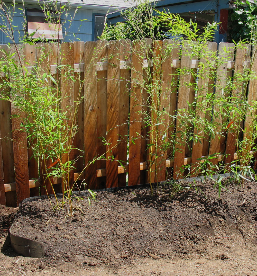 Bamboo Worktops Photos Bamboo Zone 4