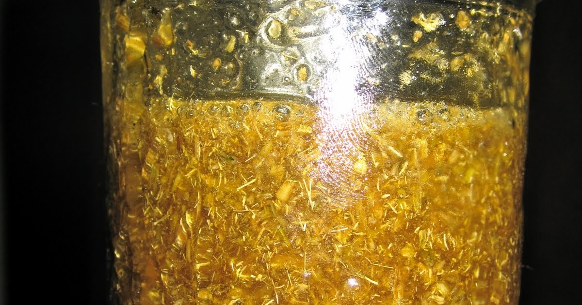 Finley in Action Medicinal Herbal Honeys (Making Fennel infused honey)