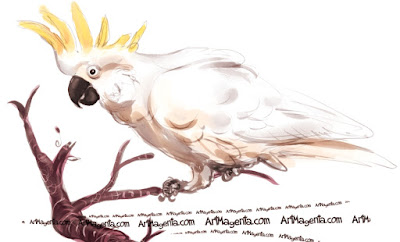 Sulphur-crested Cockatoo Sulphur-crested Cockatoo is a bird painting by illustrator Artmagenta