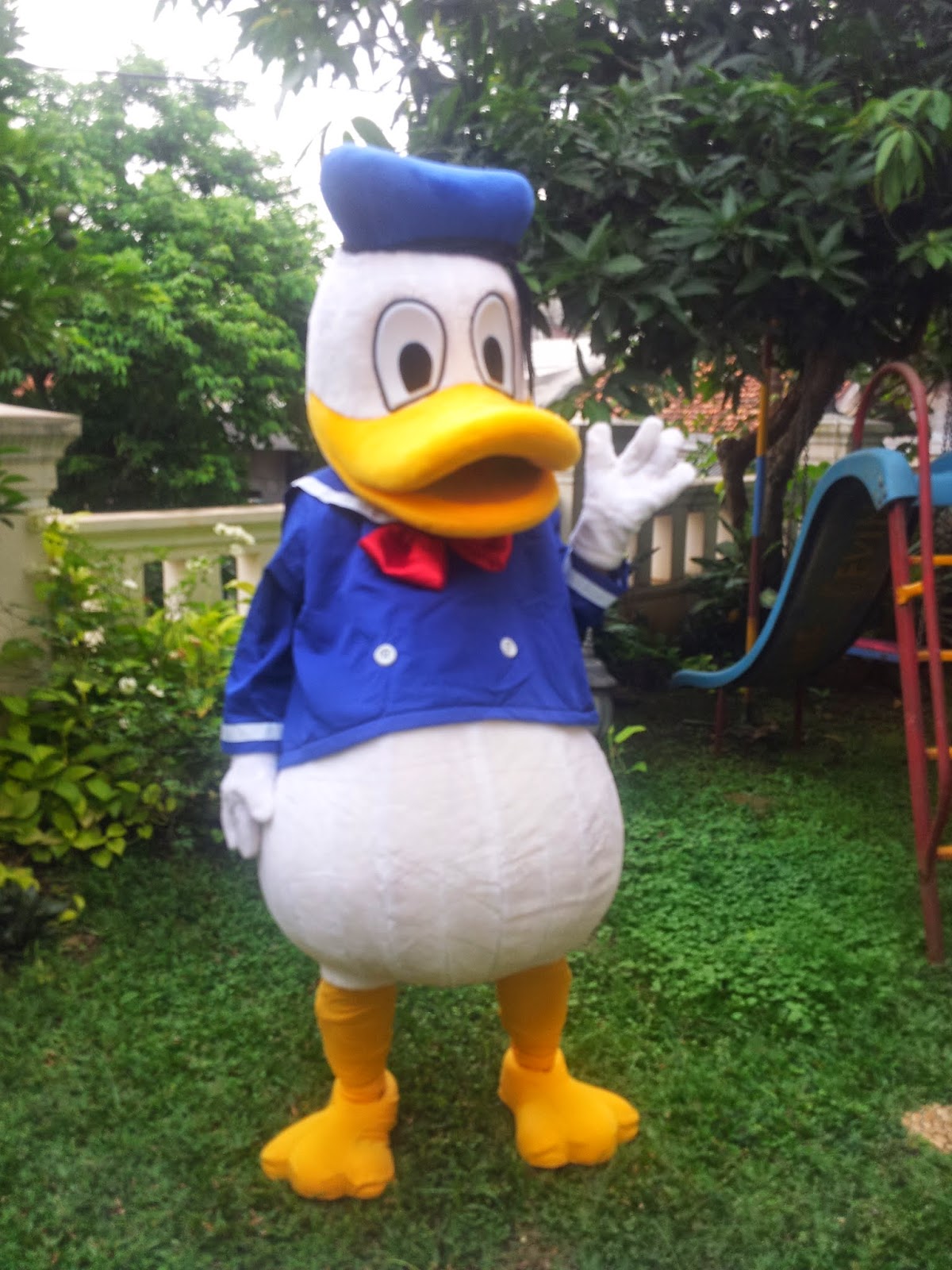  Badut Donald Duck
