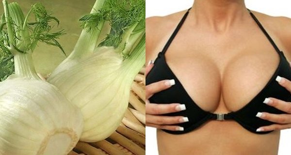 Forget the silicones: Six plants that cause breasts growth! Forget the silicones: Six plants that cause breasts growth!