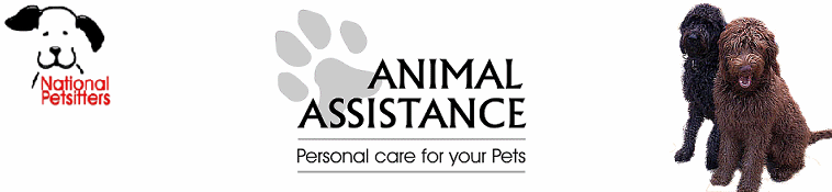 Animal Assistance