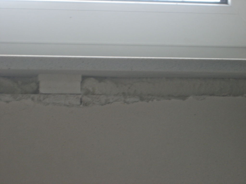 Steinzeithaus Juni 2011