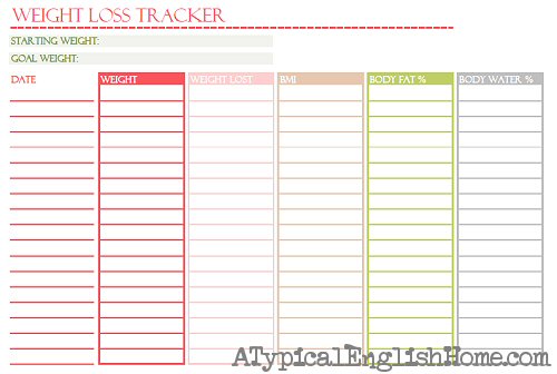 Free Weight Loss And Measurement Tracker Photo