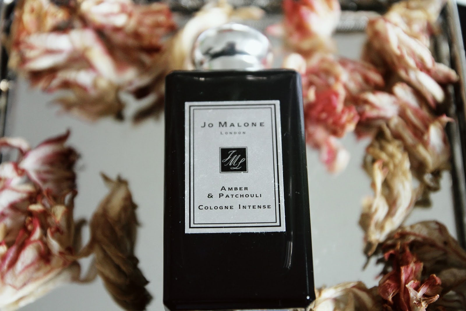 A Walk Through Historic Cologne Germany Caravan Sonnet