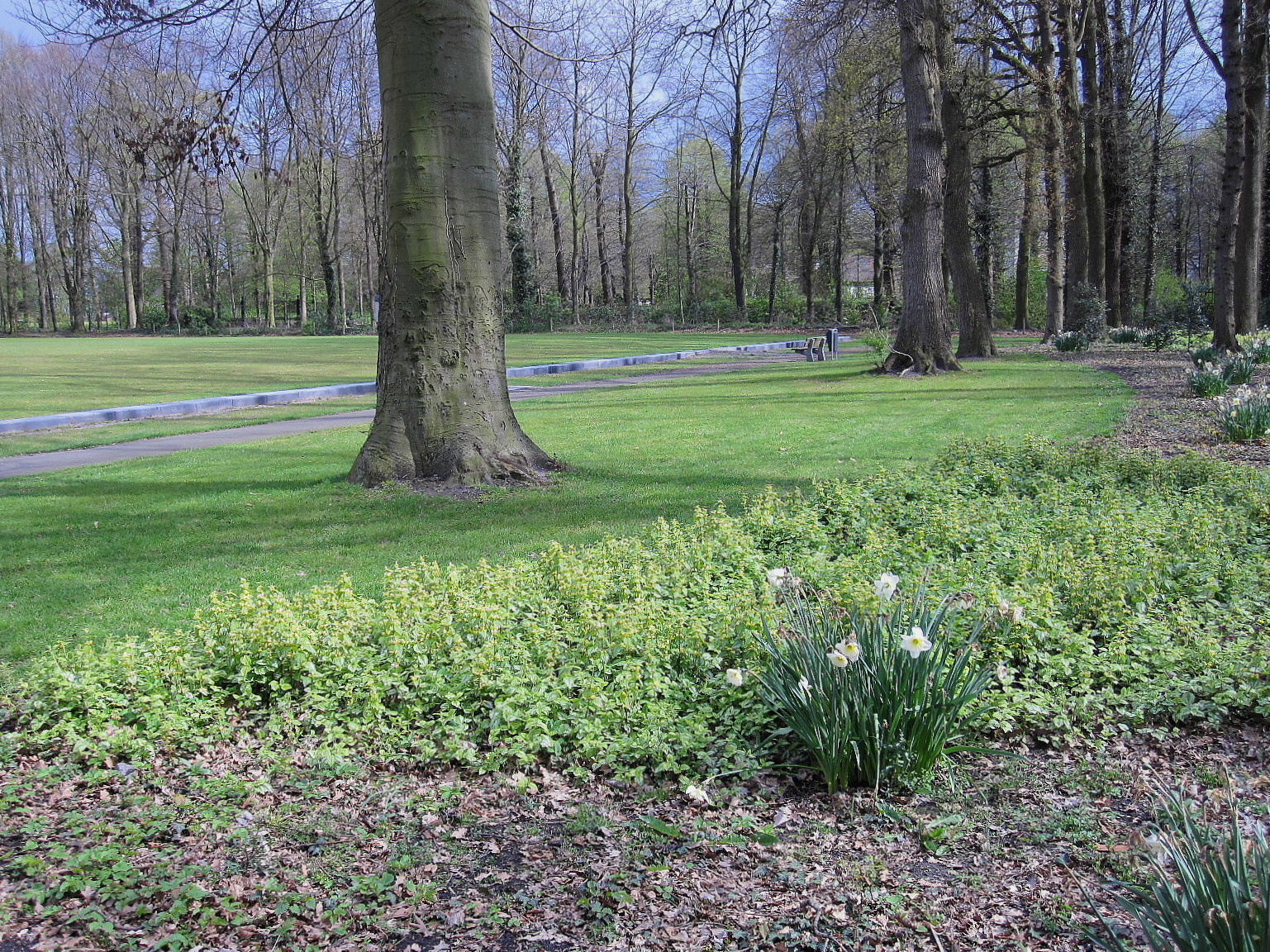 Vogelsenzo April 2012