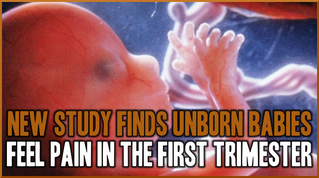 Photo via LifeNews.com