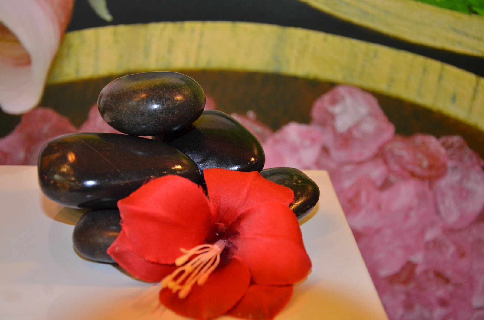 Pro Nails, Nail Salon, Oxmoor Center, Shelbyville Road, Louisville, KY.