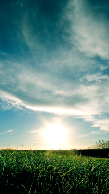 Hình nền iphone 5 đẹp