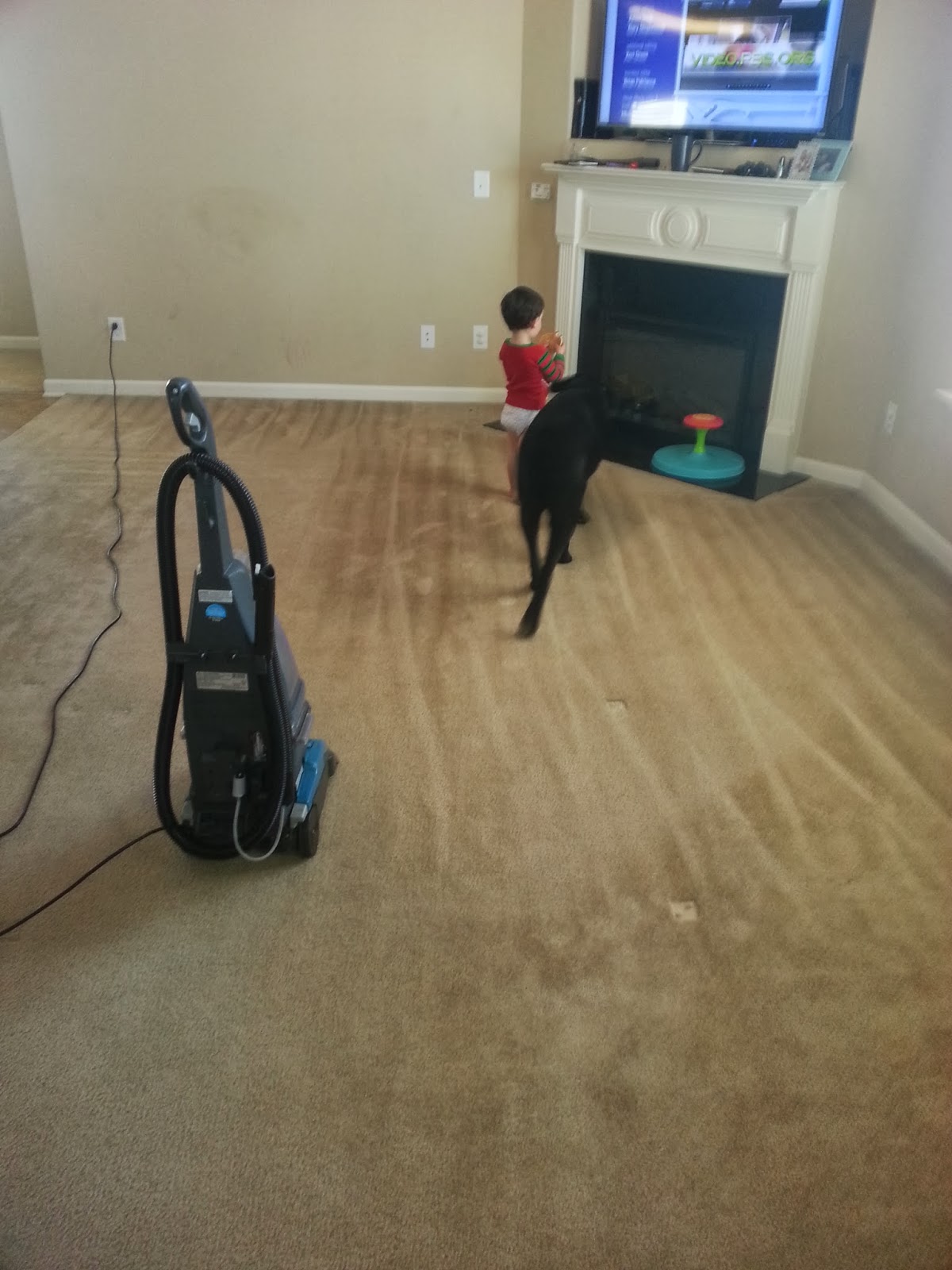 Our little Motes family Removing pet hair from carpets, this is pretty