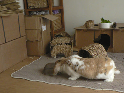 nom soucoupe rencontre troisieme type