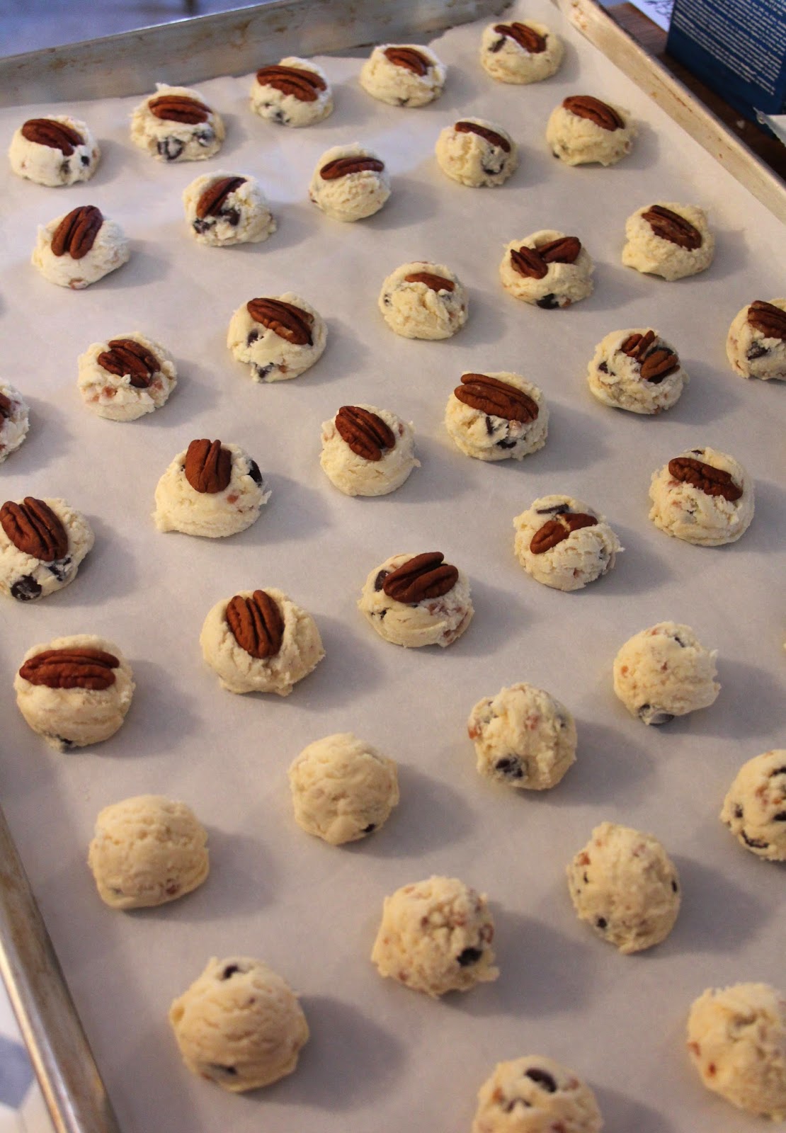 Jo and Sue Condensed Milk Chocolate Chip Caramel Pecan Shortbread