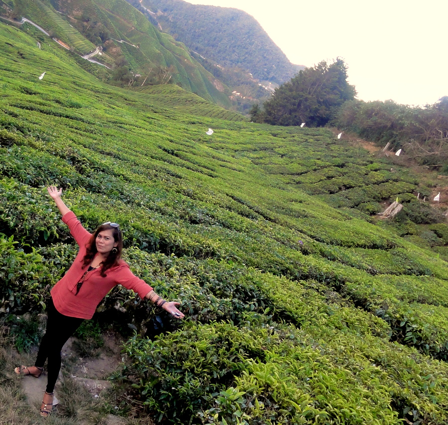 TRAVEL AND LIFESTYLE DIARIES An Overview and Map of the Cameron