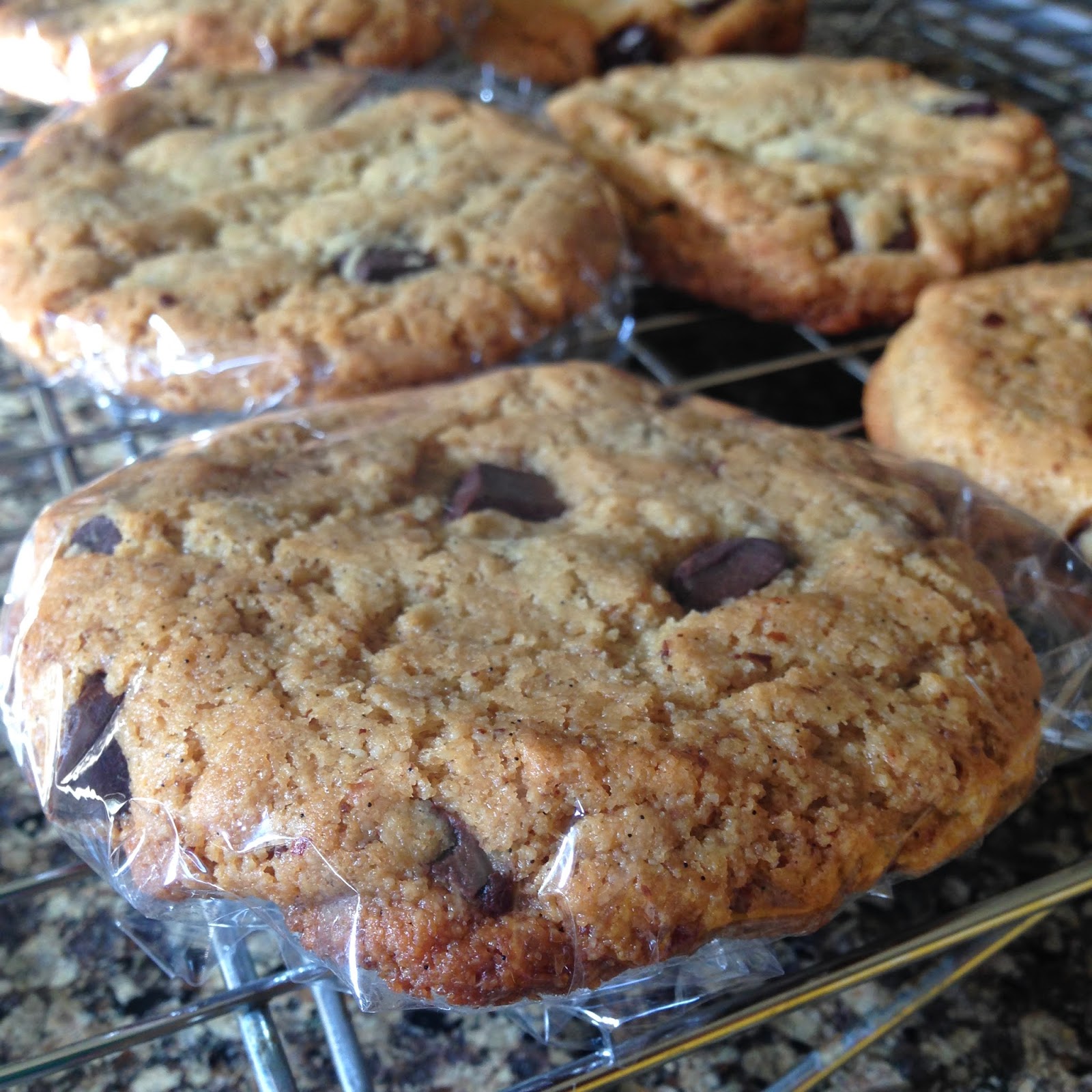 flame to fork Seriously CHEWY Chocolate Chip Cookies (grainfree, egg