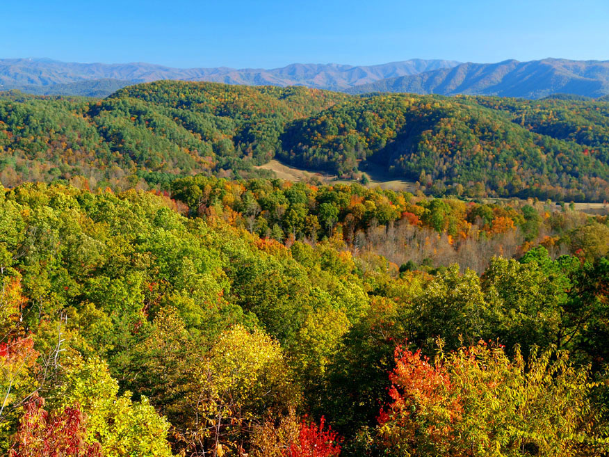 Gatlinburg Cabin Rentals