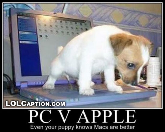 Animals, funny motivational quotes, funny pictures, funny motivational ... Animals, funny motivational quotes, funny pictures, funny motivational ...