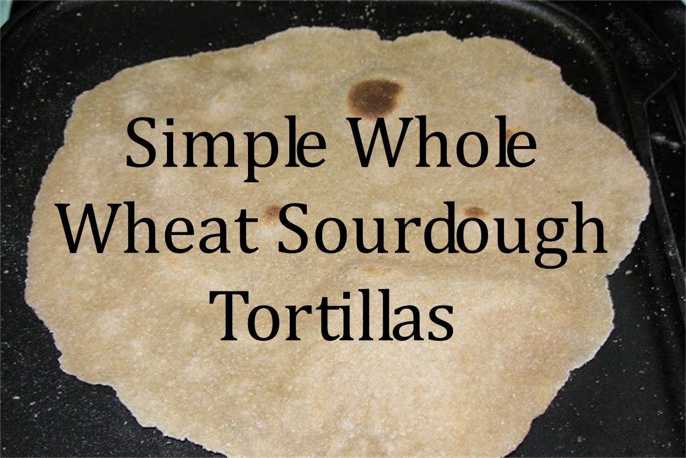 The Cheerful Agrarian Simple Whole Wheat Sourdough Tortillas