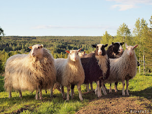 FLOCKEN SOM GÖR DET MÖJLIGT