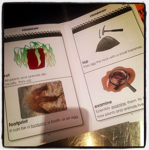 The Library Voice Everything You Need In One Guided Reading Program.....What A Snap! From Snap