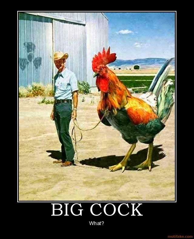 Cock look at my big 