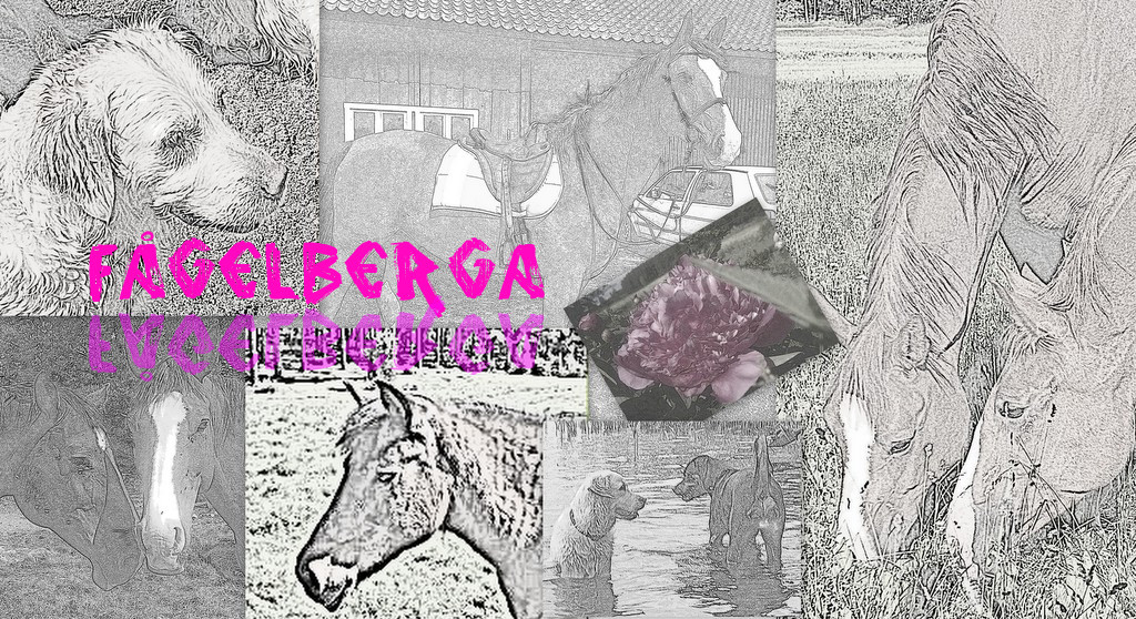 Fågelberga