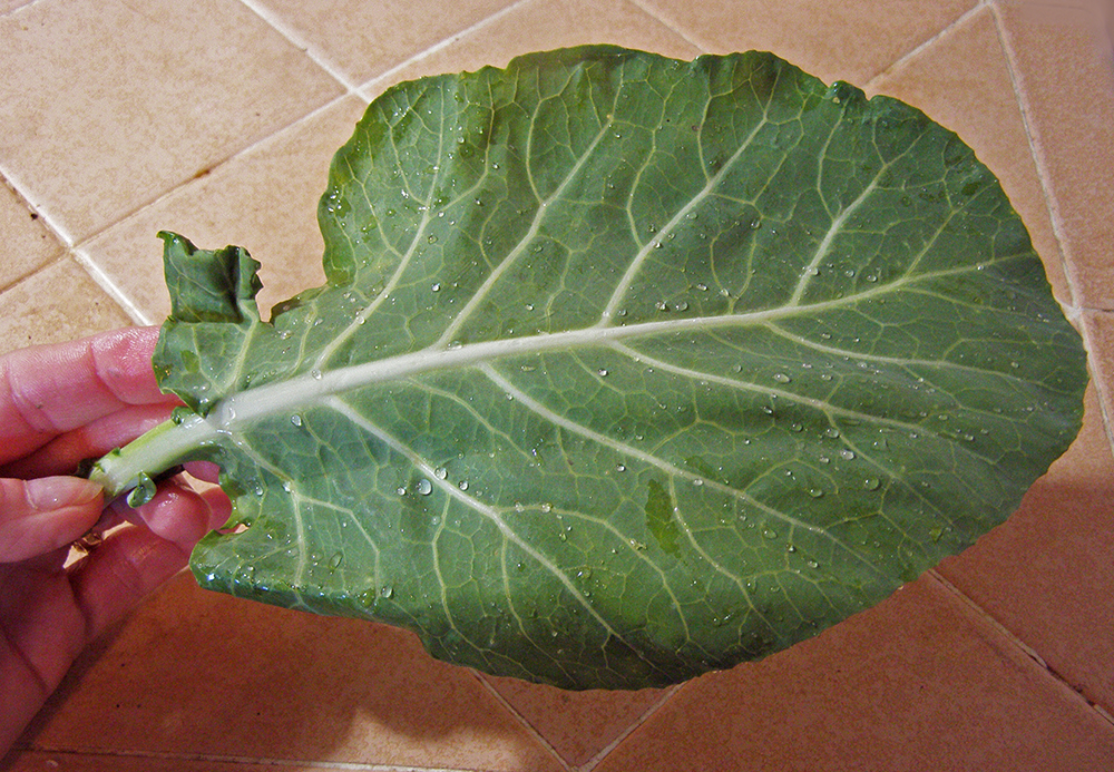 Seasonal Eating Quick Asianstyle Collard Greens
