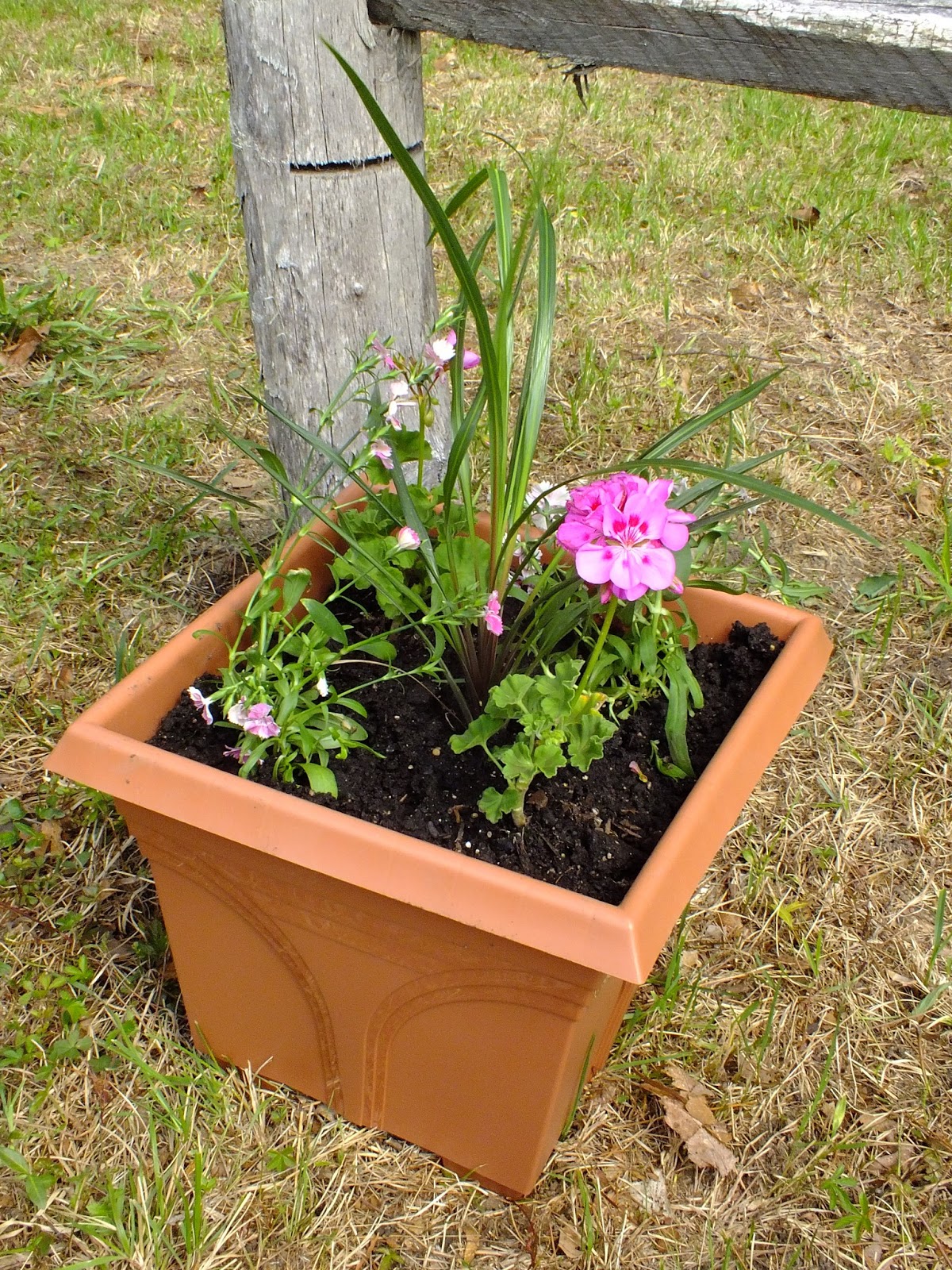 Vintage Johnstown Saving a Cemetery