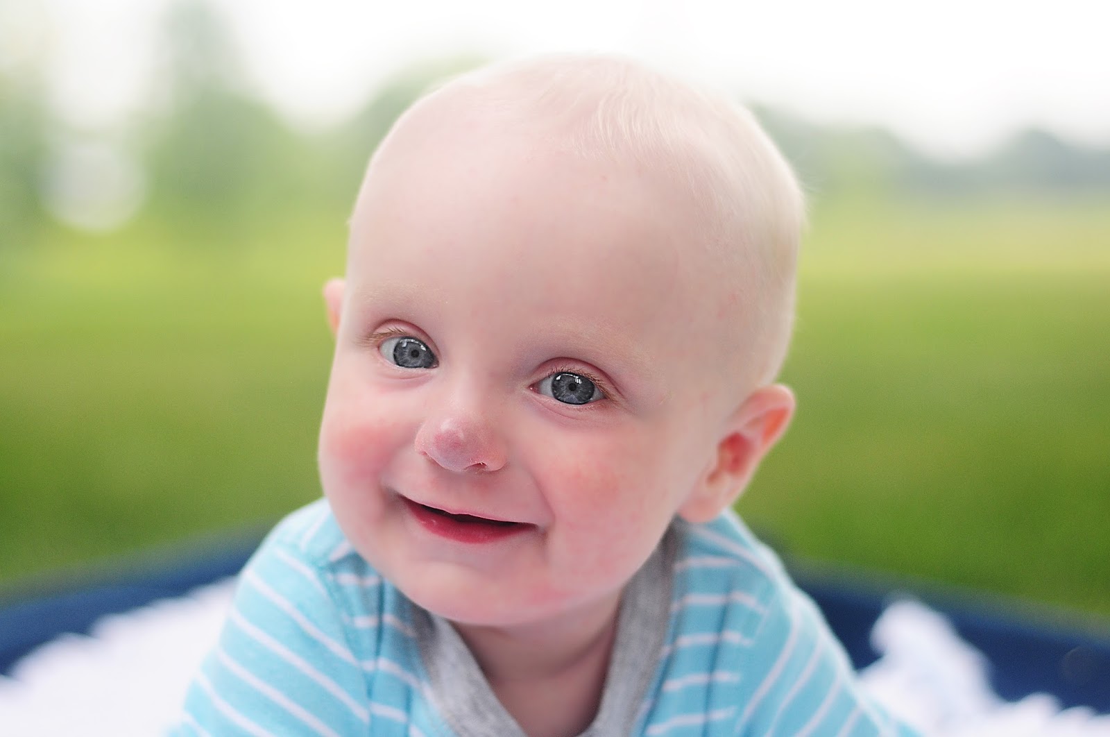 plum tree place Six Month Sweetie