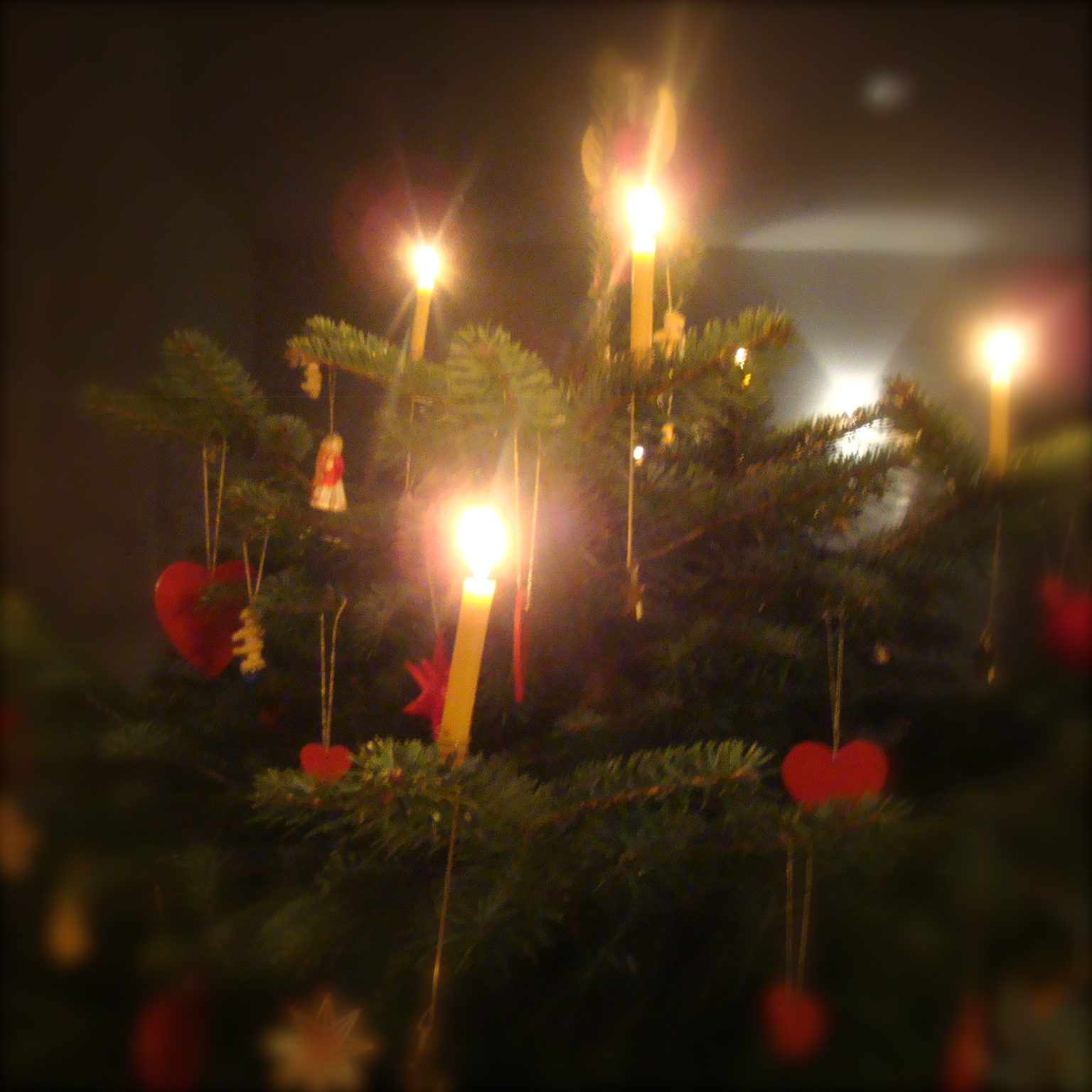 Laden sie das "feiertage"-hintergrundbild für ihr handy in hochwertigen GRISCHArte: Dezember 2011