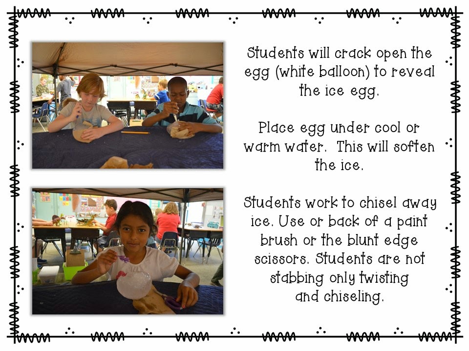 Primary Graffiti Understanding Paleontology {Themed Unit}