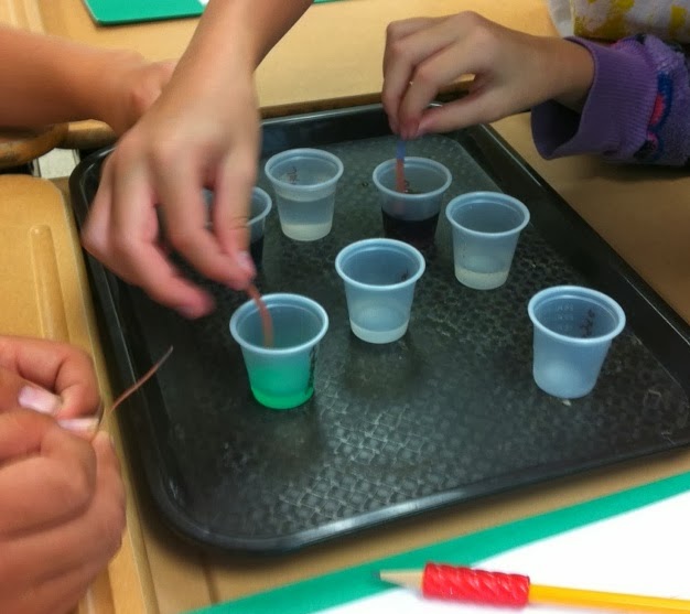 In My Classroom The Forest and the Trees Science Experiments for