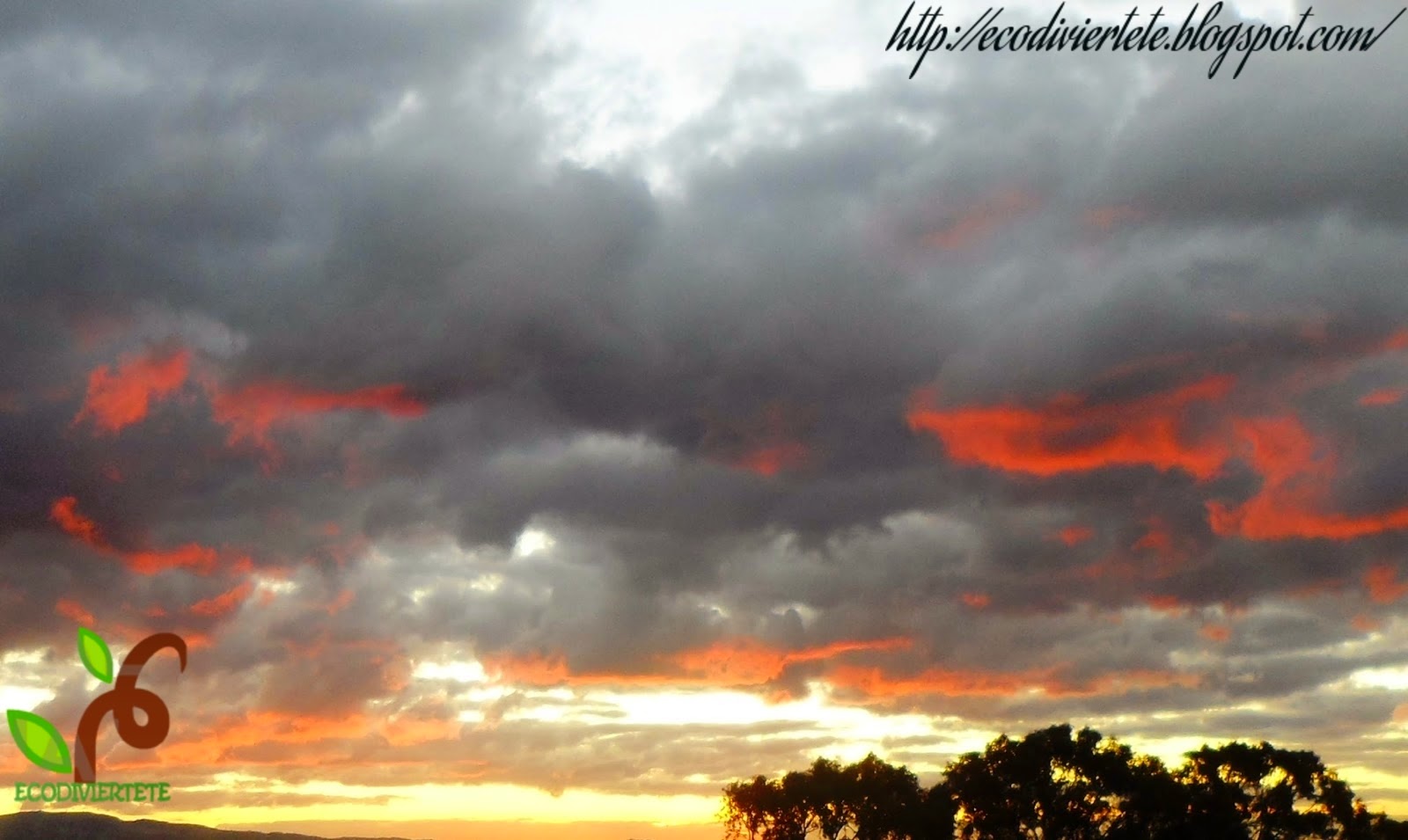 Rayos del sol Maribel Carillo