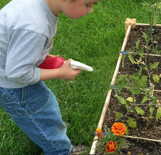 Epsom Salt Garden Booster, Weed Killer