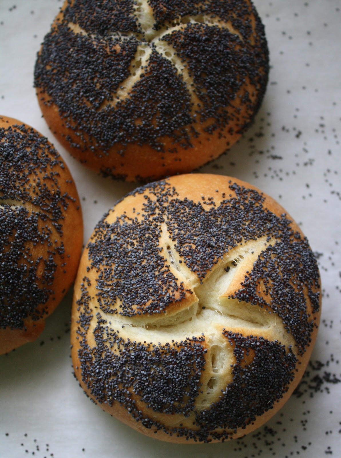 Jane's Sweets & Baking Journal New Years, Old Places, and PoppySeed