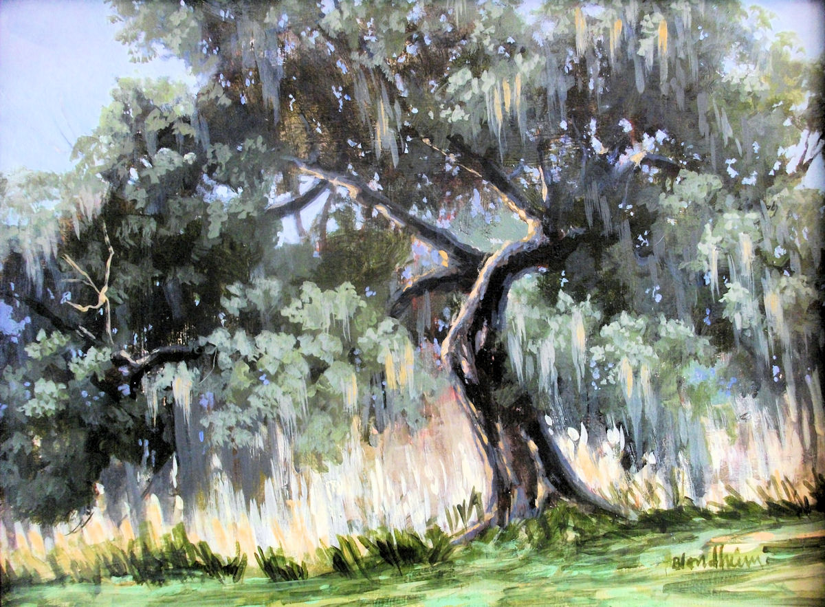 Tree Painter Live Oak Tree Painting