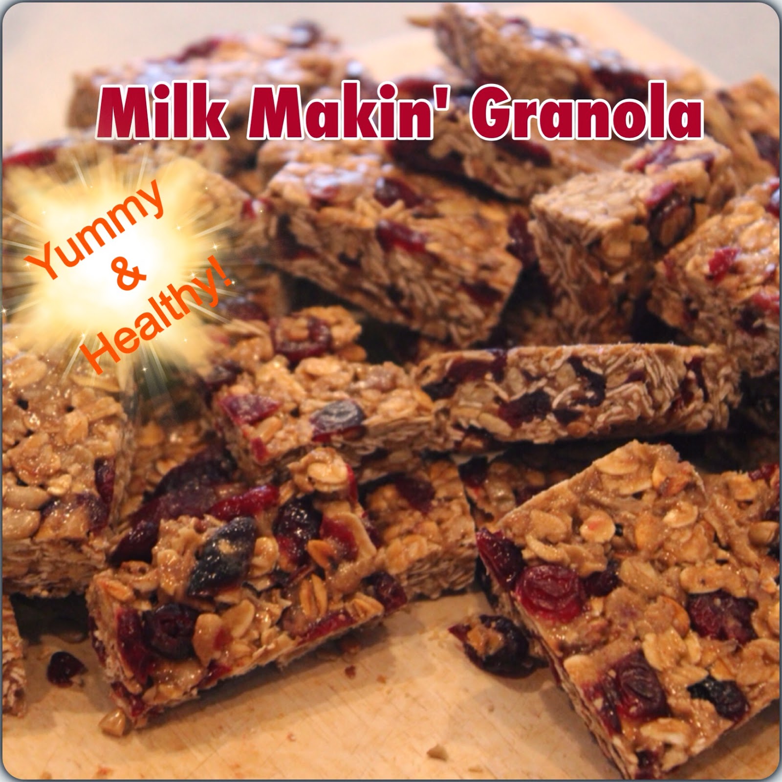 Wise Momma's Kitchen Lactation Granola Bars (Dairy free)