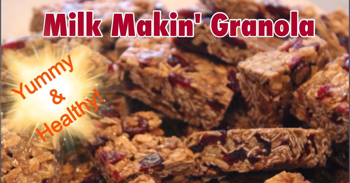 Wise Momma's Kitchen Lactation Granola Bars (Dairy free)