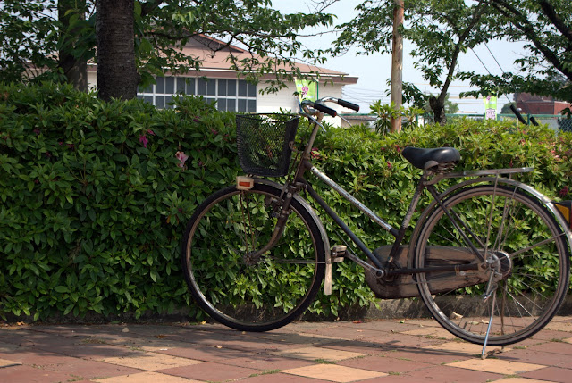 biking, cycling, Japan, rules