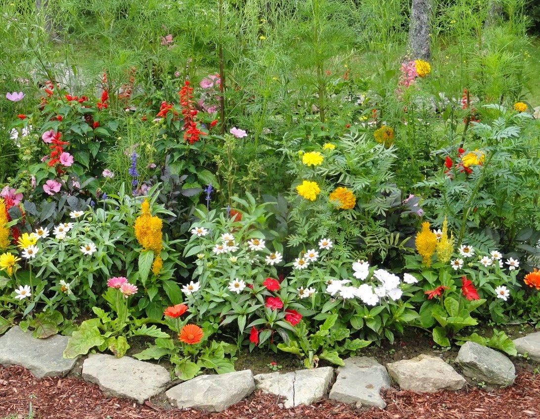 Garden Design: Latest Garden Design Ideas for flower