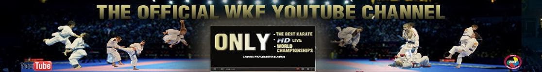 Kumite - Karate Championship 