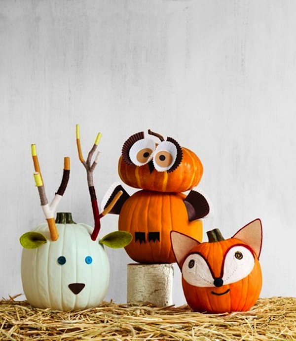 Round Up 5 Fresh Pumpkin Decorating Ideas Almost No Carving