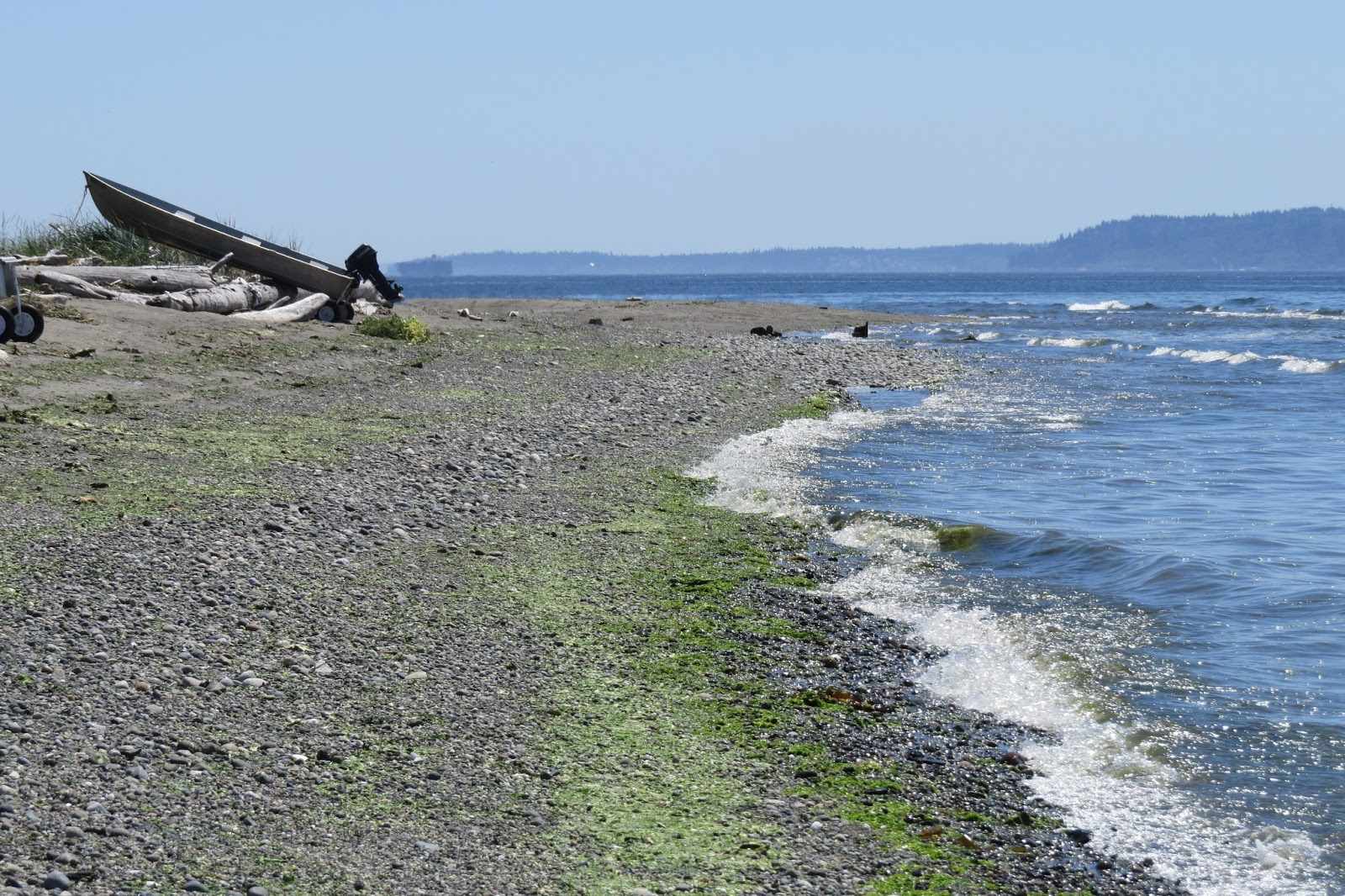 Aunie Sauce Maxwelton Beach